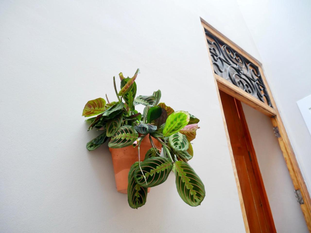 Bed and Breakfast Bird House Valenza Esterno foto